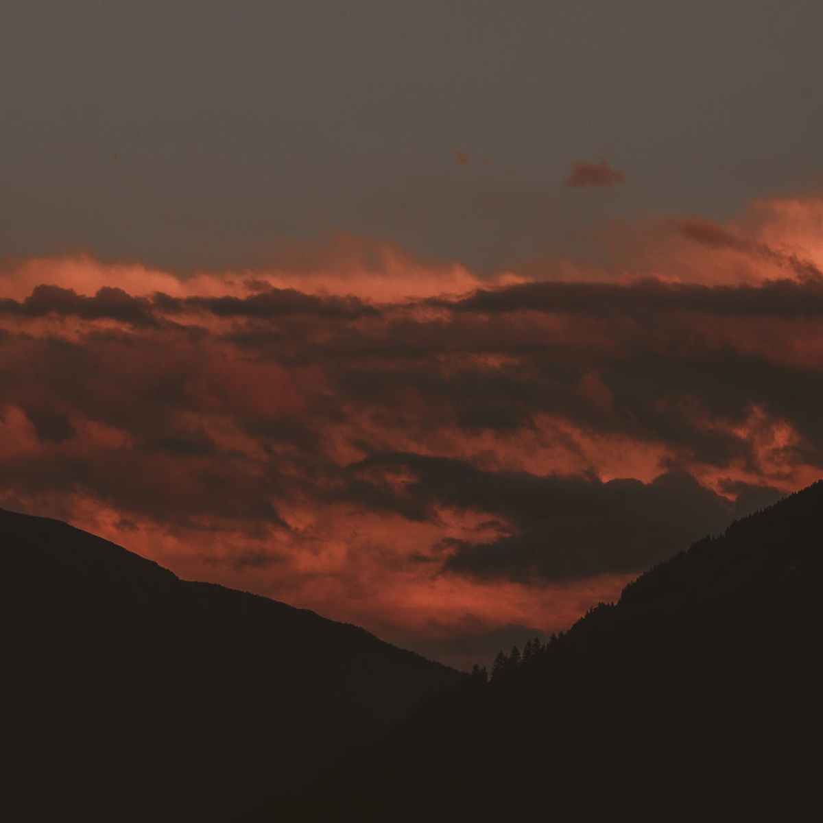 The Young and the&nbsp;Restless